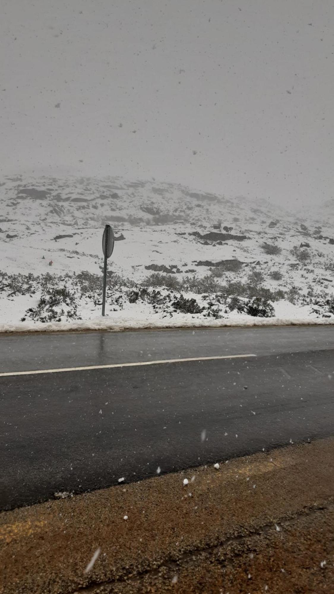 Serra Da Estrela - Casa Castro Gouveia  Εξωτερικό φωτογραφία